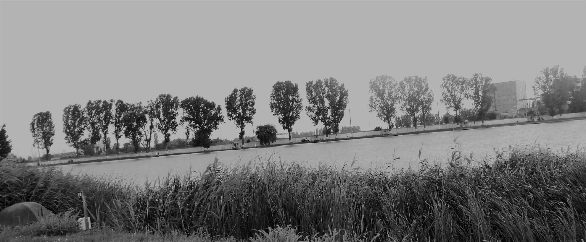 Pleasa 6 - 7 iul. - dsc00822.JPG